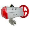 Rack & Pinion/Manual Stainless Ball Valves