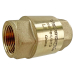 1/2" Brass  Spring Check Valve, NPT