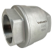 4" Stainless Spring Check Valve, NPT