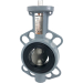 Direct Mount 2" Butterfly Valve Wafer NBR