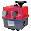 5616 Series Electric Actuators