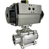 Rack & Pinion Sanitary Ball Valves